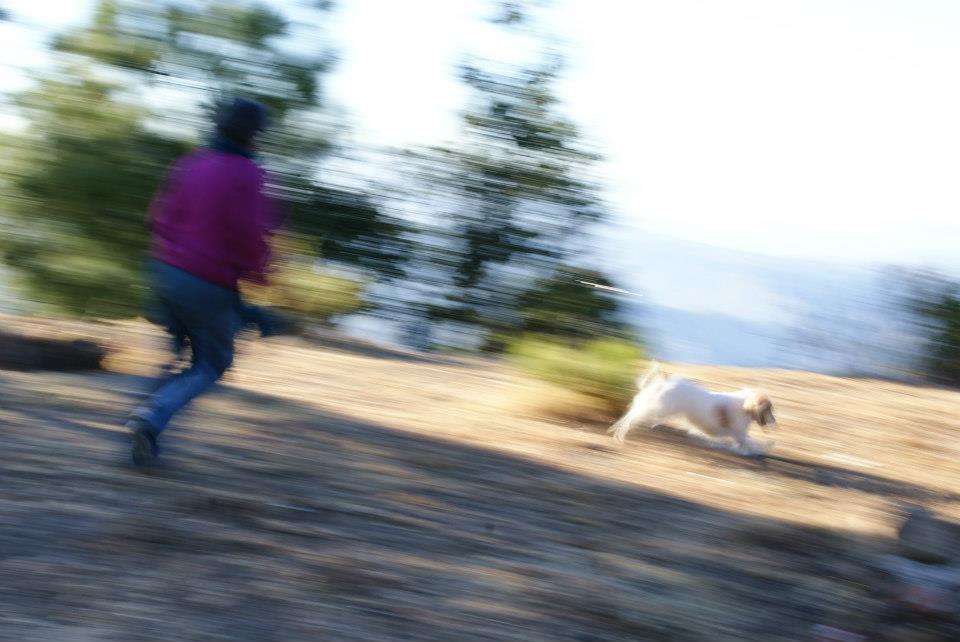 beloveddog03