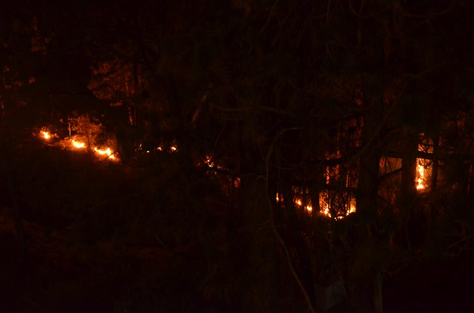 forestfire02