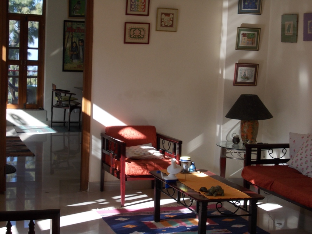 afternoon sun 003