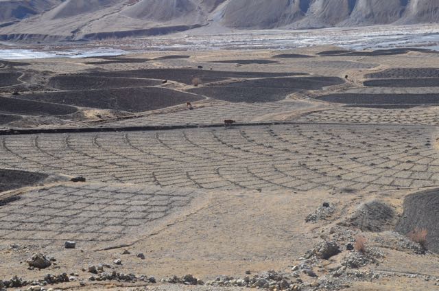 spiti04