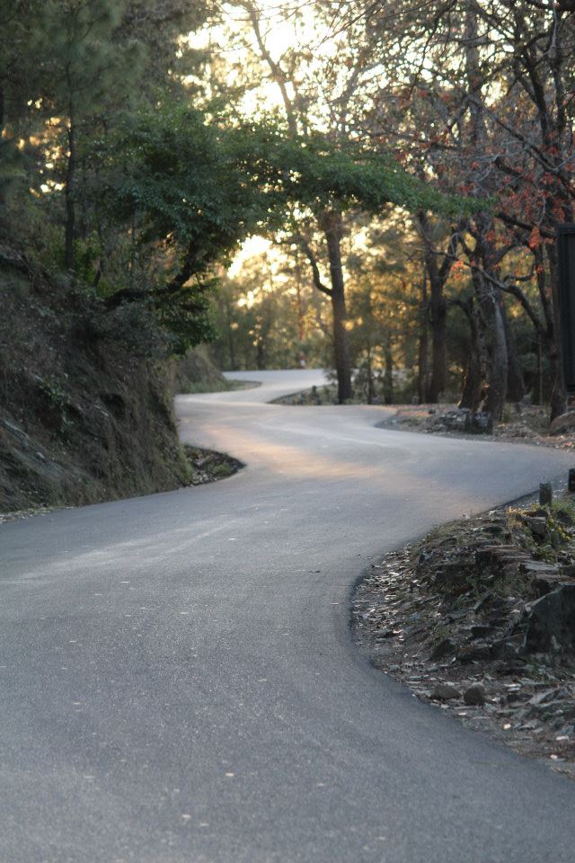 the daily walk....02