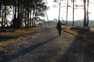 daily walk..04