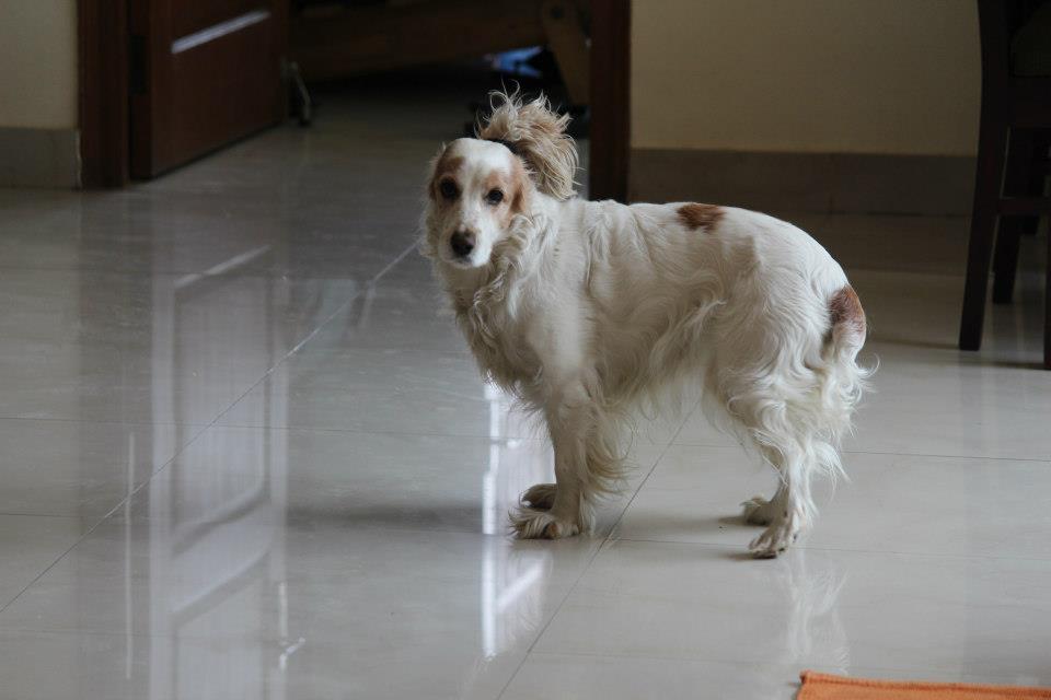 living with a diva....05