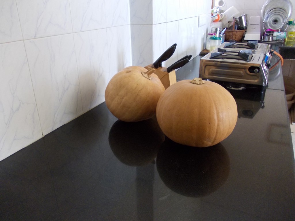 test05